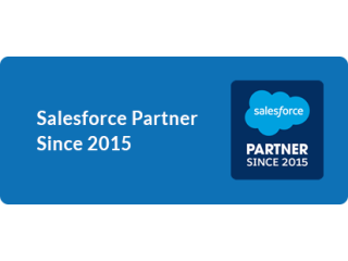 Hire Certified Salesforce Consulting Partners In USA