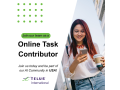 us-online-task-contributor-l-part-time-work-from-home-opportunity-small-0