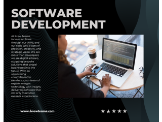 Bespoke Solutions for Your Business: Dubais Top Software Development Services